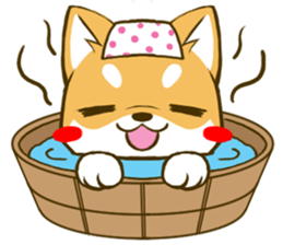 Japanese Shiba Inu tan 3 sticker #6944881