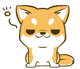 Japanese Shiba Inu tan 3 sticker #6944885