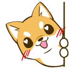 Japanese Shiba Inu tan 3 sticker #6944886