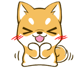 Japanese Shiba Inu tan 3 sticker #6944890