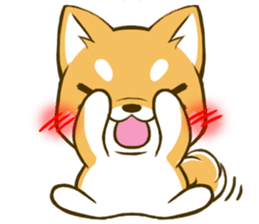 Japanese Shiba Inu tan 3 sticker #6944891