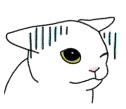 Daily life of lovely white cat sticker #6947099