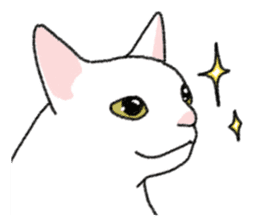 Daily life of lovely white cat sticker #6947100