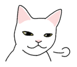 Daily life of lovely white cat sticker #6947102