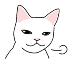 Daily life of lovely white cat sticker #6947102