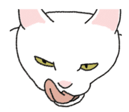 Daily life of lovely white cat sticker #6947104
