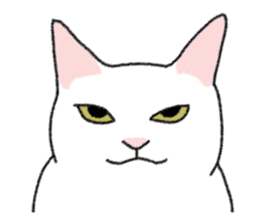 Daily life of lovely white cat sticker #6947105