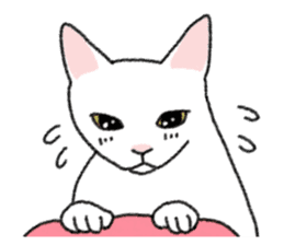 Daily life of lovely white cat sticker #6947106