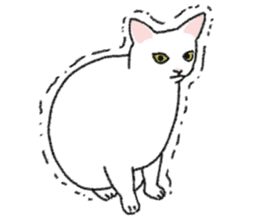 Daily life of lovely white cat sticker #6947107