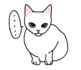 Daily life of lovely white cat sticker #6947108