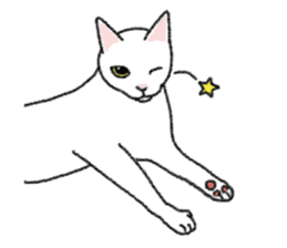 Daily life of lovely white cat sticker #6947112