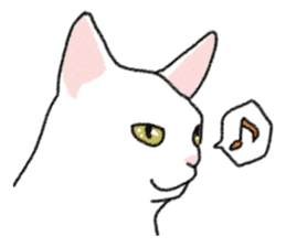 Daily life of lovely white cat sticker #6947114