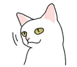 Daily life of lovely white cat sticker #6947115