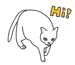 Daily life of lovely white cat sticker #6947116