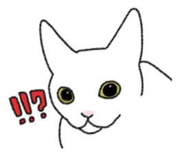 Daily life of lovely white cat sticker #6947117