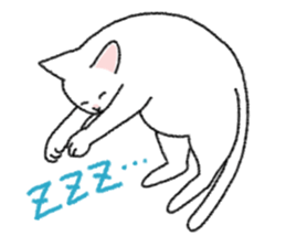 Daily life of lovely white cat sticker #6947124