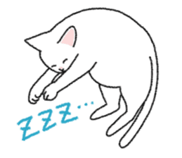 Daily life of lovely white cat sticker #6947124