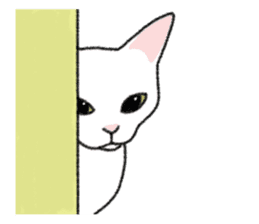 Daily life of lovely white cat sticker #6947129