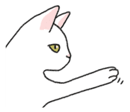 Daily life of lovely white cat sticker #6947131