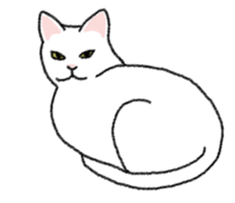 Daily life of lovely white cat sticker #6947133