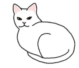 Daily life of lovely white cat sticker #6947133