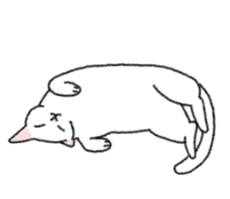 Daily life of lovely white cat sticker #6947134