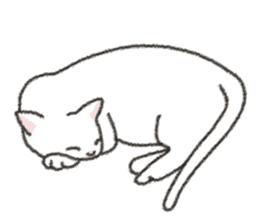 Daily life of lovely white cat sticker #6947135