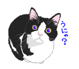 Lovery kitten vol.2 sticker #6949296