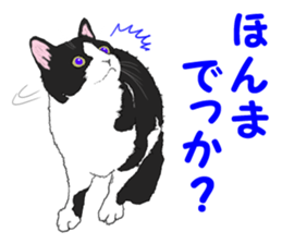 Lovery kitten vol.2 sticker #6949297