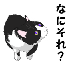 Lovery kitten vol.2 sticker #6949298