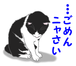 Lovery kitten vol.2 sticker #6949307