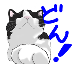 Lovery kitten vol.2 sticker #6949321