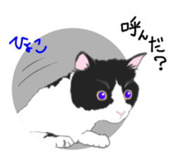 Lovery kitten vol.2 sticker #6949331