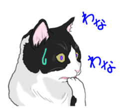 Lovery kitten vol.2 sticker #6949335