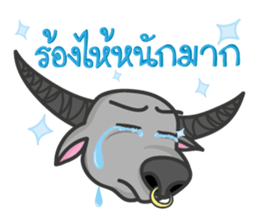 Nollie& Blunt 2 sticker #6951407