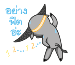 Nollie& Blunt 2 sticker #6951414