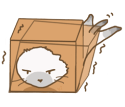 girl iki & totocat sticker #6953951