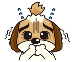 2 Shih Tzu Brothers sticker #6954411