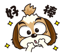 2 Shih Tzu Brothers sticker #6954417