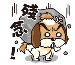 2 Shih Tzu Brothers sticker #6954423