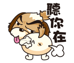 2 Shih Tzu Brothers sticker #6954429