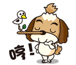 2 Shih Tzu Brothers sticker #6954435