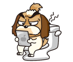 2 Shih Tzu Brothers sticker #6954441