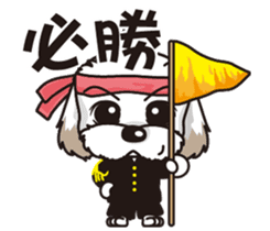 2 Shih Tzu Brothers sticker #6954449