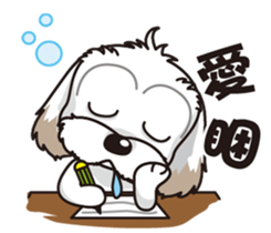 2 Shih Tzu Brothers sticker #6954455