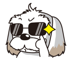 2 Shih Tzu Brothers sticker #6954461