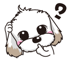 2 Shih Tzu Brothers sticker #6954463