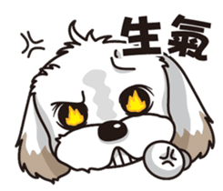 2 Shih Tzu Brothers sticker #6954465
