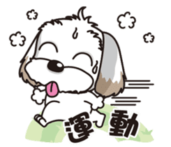 2 Shih Tzu Brothers sticker #6954469