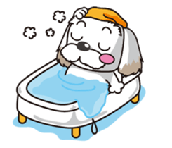 2 Shih Tzu Brothers sticker #6954470